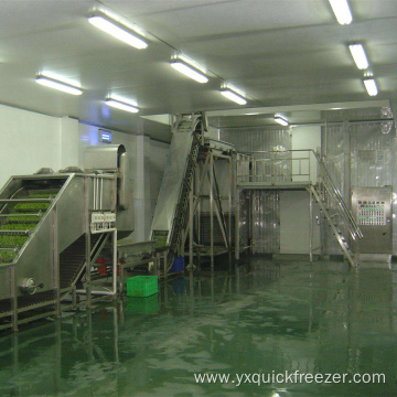 Fruit And Vegetable Fluidized Tunnel Freezer
